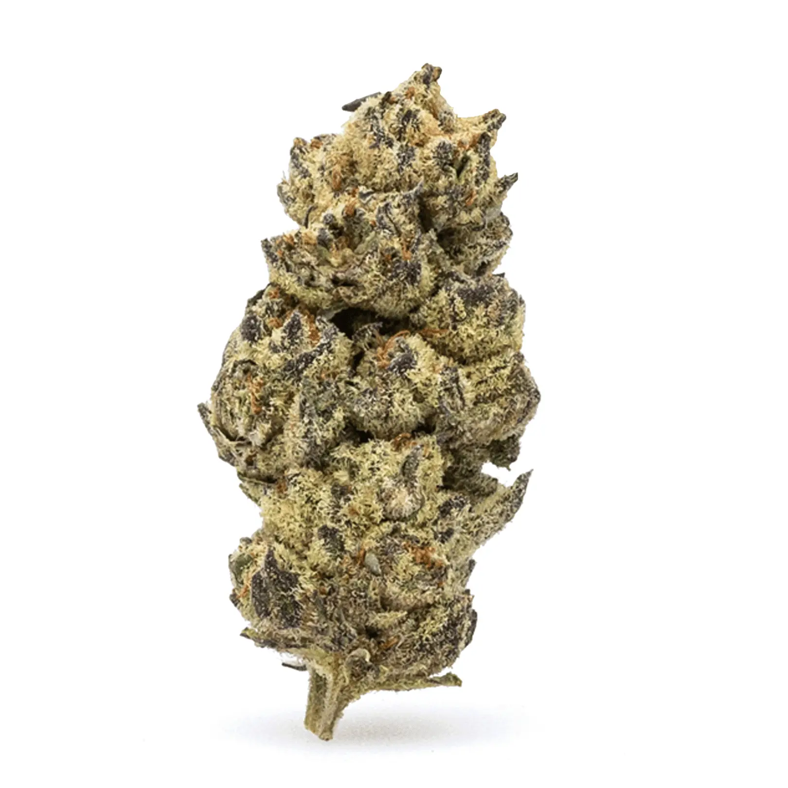 THCa Flower Black Cherry Soda